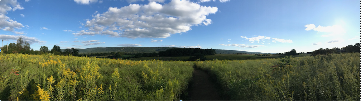 Nittany Valley Environmental Coalition